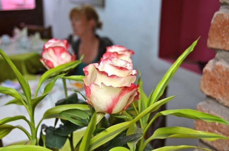 Casa De Las Rosas Cuenca Room photo